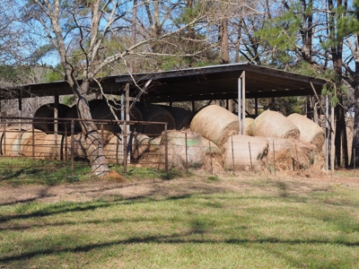 53 Acres Pastureland with Ponds for Sale SW MS - image 32