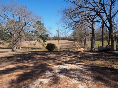 53 Acres Pastureland with Ponds for Sale SW MS - image 19