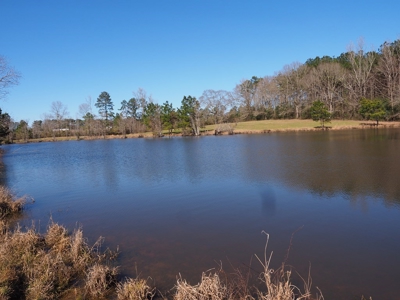 53 Acres Pastureland with Ponds for Sale SW MS - image 20