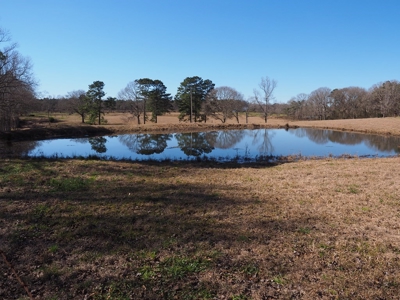 53 Acres Pastureland with Ponds for Sale SW MS - image 39