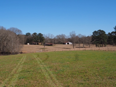 53 Acres Pastureland with Ponds for Sale SW MS - image 21