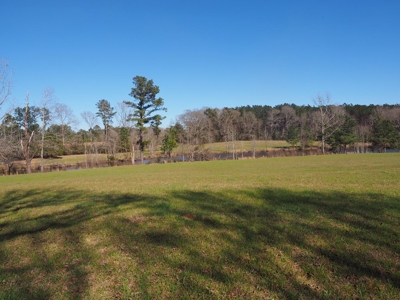 53 Acres Pastureland with Ponds for Sale SW MS - image 28