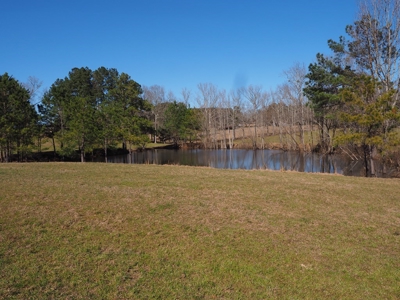 53 Acres Pastureland with Ponds for Sale SW MS - image 2