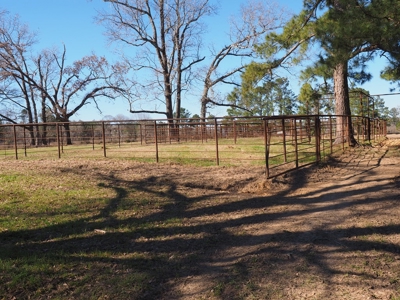 53 Acres Pastureland with Ponds for Sale SW MS - image 27