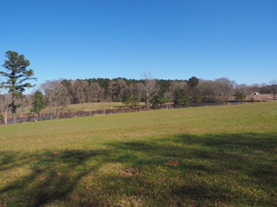 53 Acres Pastureland with Ponds for Sale SW MS - image 35