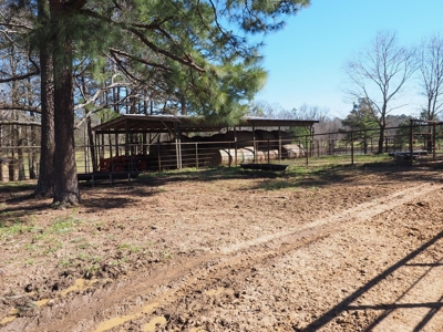 53 Acres Pastureland with Ponds for Sale SW MS - image 45