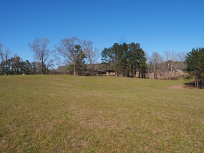 53 Acres Pastureland with Ponds for Sale SW MS - image 5
