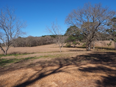 53 Acres Pastureland with Ponds for Sale SW MS - image 18