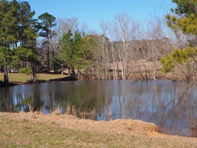 53 Acres Pastureland with Ponds for Sale SW MS - image 15