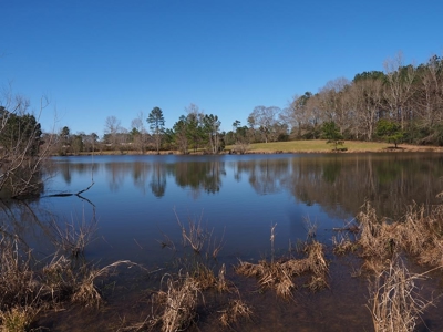 53 Acres Pastureland with Ponds for Sale SW MS - image 1