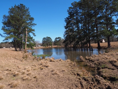 53 Acres Pastureland with Ponds for Sale SW MS - image 34