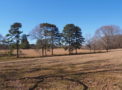 53 Acres Pastureland with Ponds for Sale SW MS - image 37