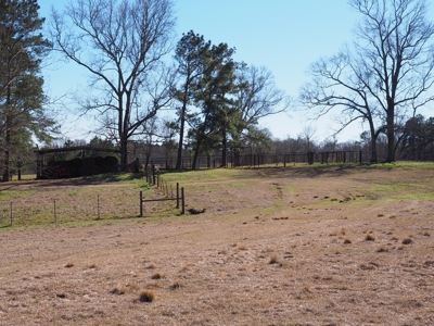 53 Acres Pastureland with Ponds for Sale SW MS - image 38