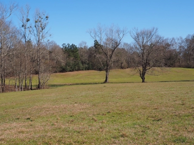 53 Acres Pastureland with Ponds for Sale SW MS - image 7