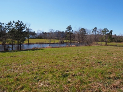 53 Acres Pastureland with Ponds for Sale SW MS - image 43