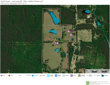 53 Acres Pastureland with Ponds for Sale SW MS - image 47