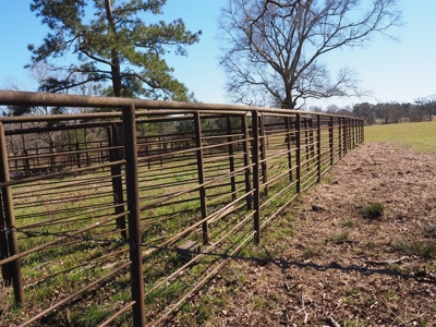 53 Acres Pastureland with Ponds for Sale SW MS - image 42