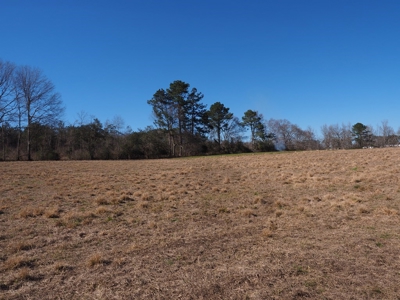53 Acres Pastureland with Ponds for Sale SW MS - image 31