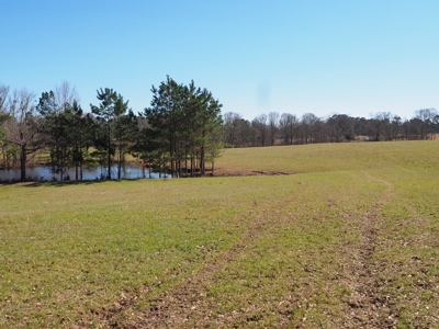 53 Acres Pastureland with Ponds for Sale SW MS - image 41