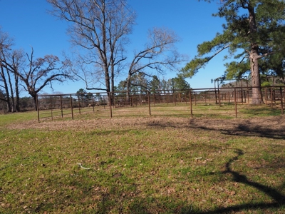 53 Acres Pastureland with Ponds for Sale SW MS - image 13