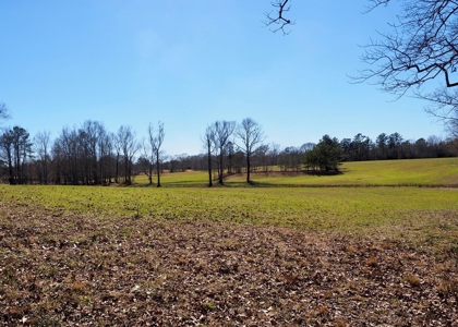 53 Acres Pastureland with Ponds for Sale SW MS - image 33