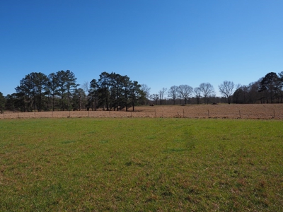 53 Acres Pastureland with Ponds for Sale SW MS - image 14
