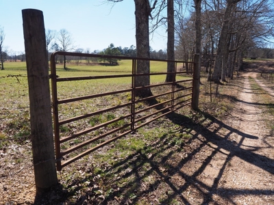 53 Acres Pastureland with Ponds for Sale SW MS - image 23