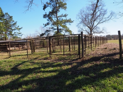 53 Acres Pastureland with Ponds for Sale SW MS - image 4