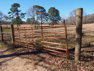 53 Acres Pastureland with Ponds for Sale SW MS - image 26