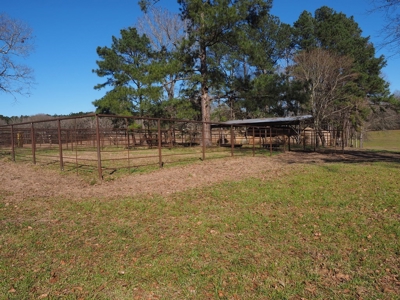 53 Acres Pastureland with Ponds for Sale SW MS - image 8