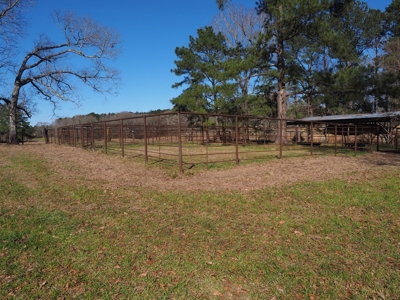 53 Acres Pastureland with Ponds for Sale SW MS - image 12