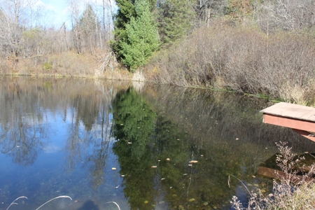 Country Home in Colchester, NY - image 6