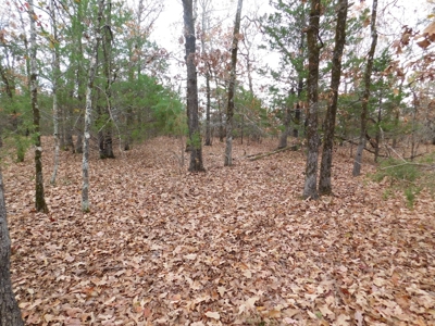 Southeastern Oklahoma, Near Lake Wister, Private Setting - image 14