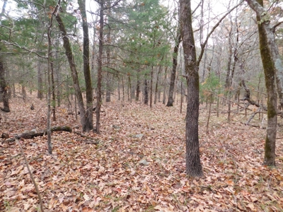 Southeastern Oklahoma, Near Lake Wister, Private Setting - image 15