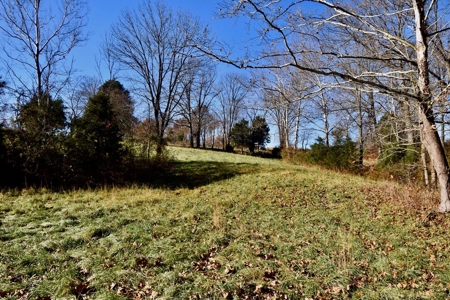 Homesite w/ Land, High-Speed Internet, Pond For Sale So. IN - image 19