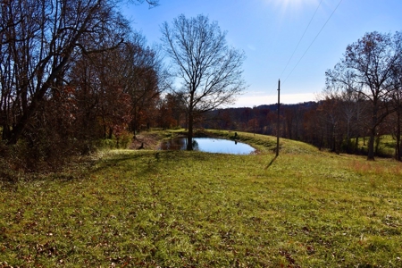Homesite w/ Land, High-Speed Internet, Pond For Sale So. IN - image 15