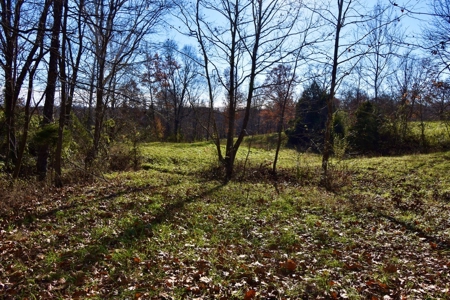 Homesite w/ Land, High-Speed Internet, Pond For Sale So. IN - image 8