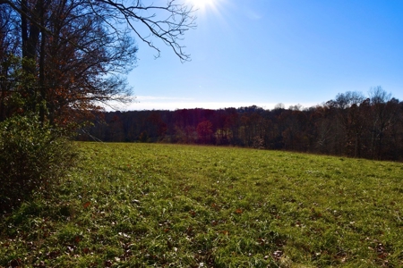 Homesite w/ Land, High-Speed Internet, Pond For Sale So. IN - image 16