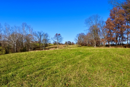 Homesite w/ Land, High-Speed Internet, Pond For Sale So. IN - image 25