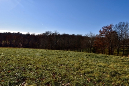 Homesite w/ Land, High-Speed Internet, Pond For Sale So. IN - image 22