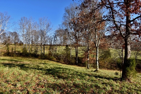 Homesite w/ Land, High-Speed Internet, Pond For Sale So. IN - image 14
