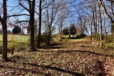 Homesite w/ Land, High-Speed Internet, Pond For Sale So. IN - image 11