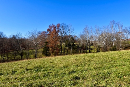 Homesite w/ Land, High-Speed Internet, Pond For Sale So. IN - image 13