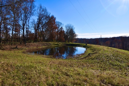 Homesite w/ Land, High-Speed Internet, Pond For Sale So. IN - image 12