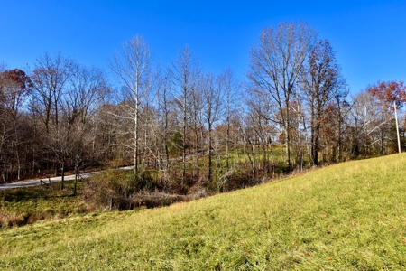 Homesite w/ Land, High-Speed Internet, Pond For Sale So. IN - image 9