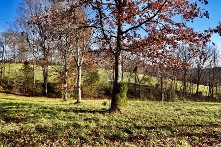 Homesite w/ Land, High-Speed Internet, Pond For Sale So. IN - image 5