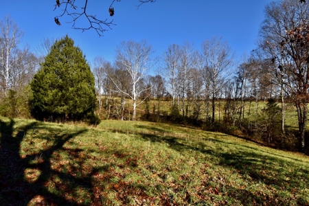 Homesite w/ Land, High-Speed Internet, Pond For Sale So. IN - image 18