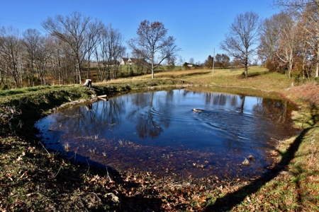 Homesite w/ Land, High-Speed Internet, Pond For Sale So. IN - image 27