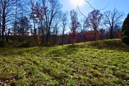 Homesite w/ Land, High-Speed Internet, Pond For Sale So. IN - image 28