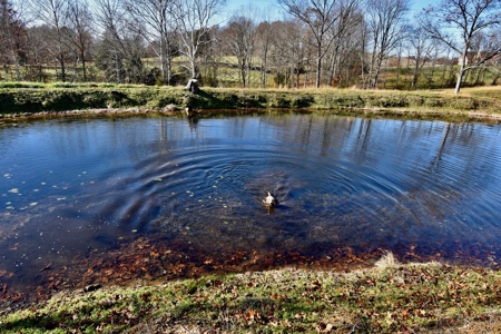 Homesite w/ Land, High-Speed Internet, Pond For Sale So. IN - image 17